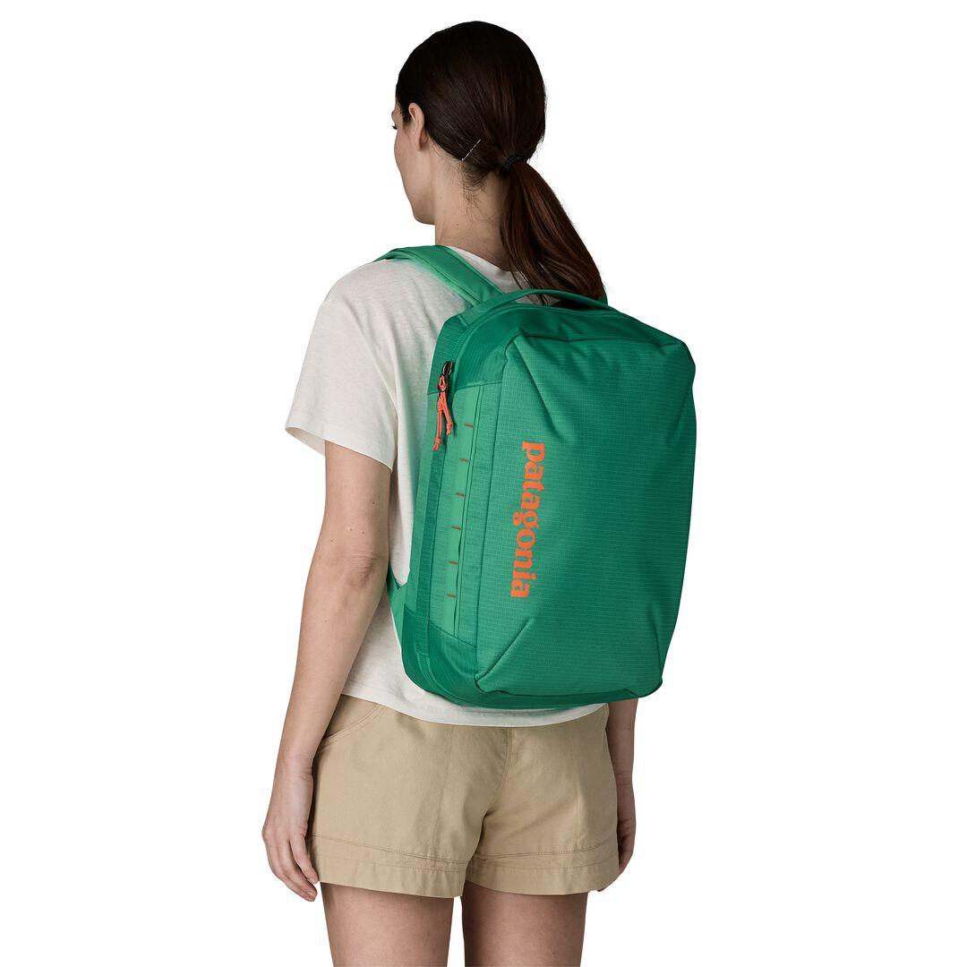 Black Hole® Micro MLC® Carry-On Backpack 22L | Patagonia on sale