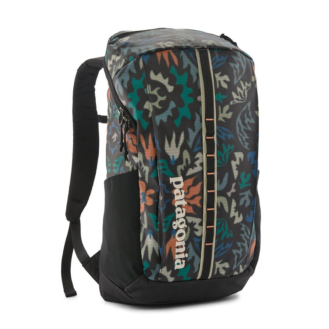 Black Hole® Pack 25L | Patagonia on sale