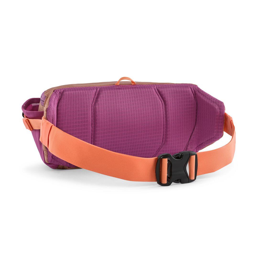 Black Hole® Waist Pack 5L | Patagonia us