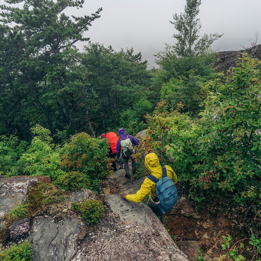 Torrentshell 3L Rain Jacket | Patagonia on sale
