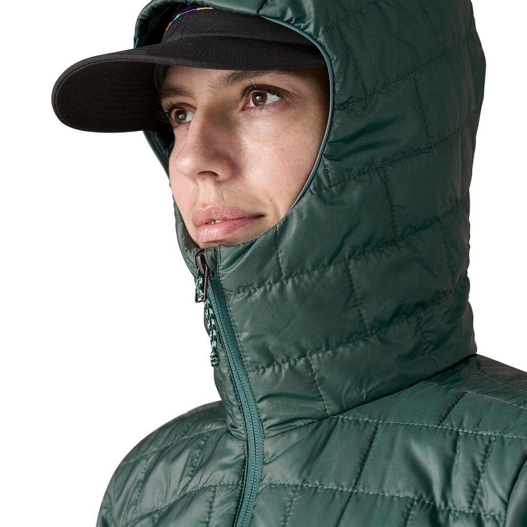 Nano Puff® Fitz Roy Trout Insulated Hoody | Patagonia