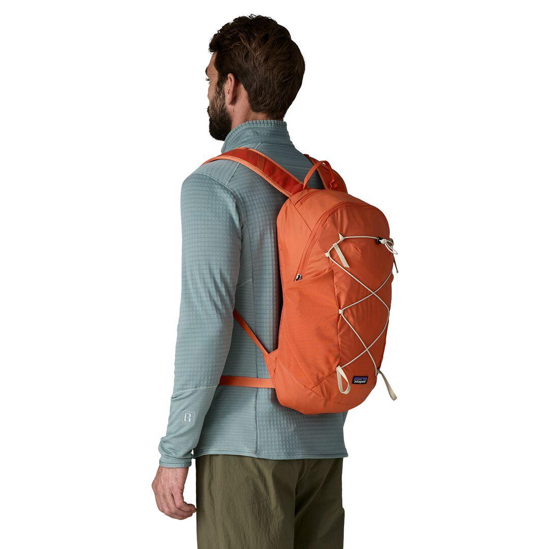 Terravia Pack 14L | Patagonia sale