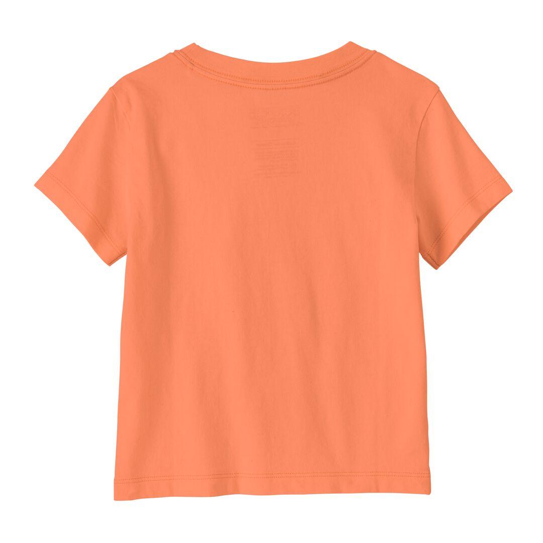 Baby Graphic T-Shirt | Patagonia outlet