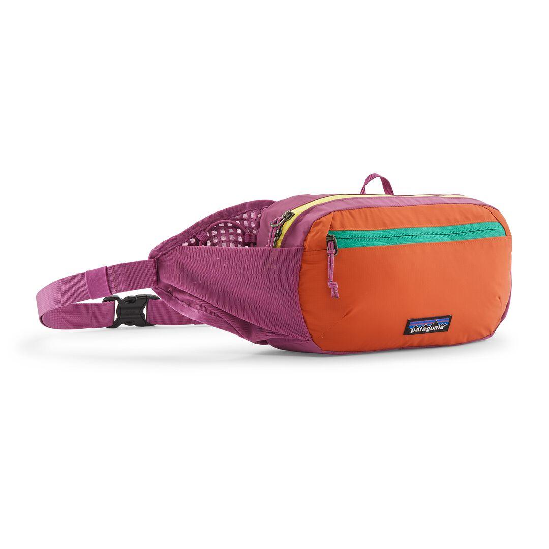 Terravia Hip Pack 4L | Patagonia on sale